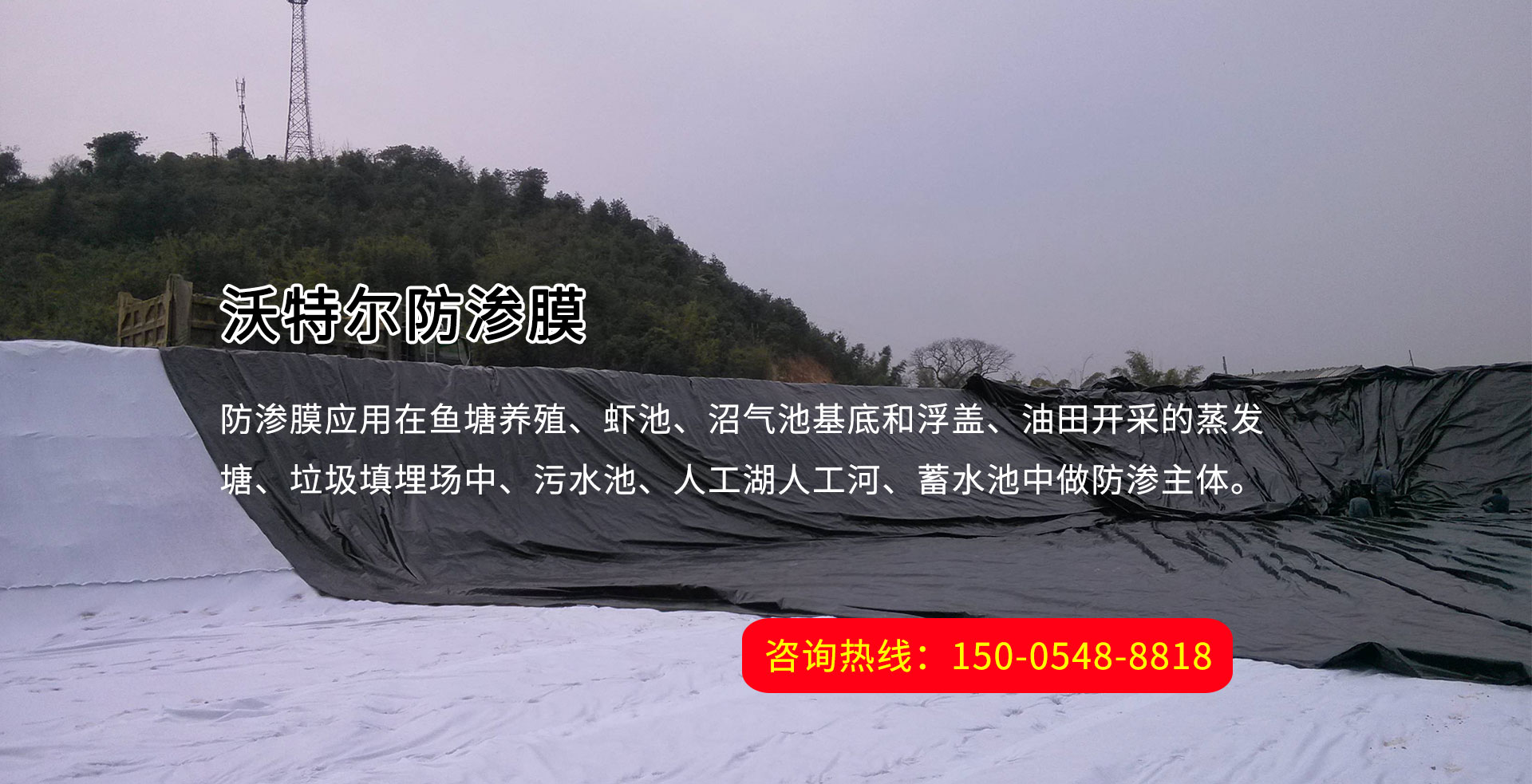 泰安高新區(qū)東方苗木有限公司